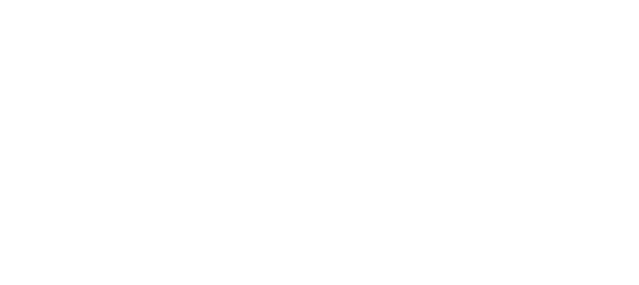 PinkRoccade